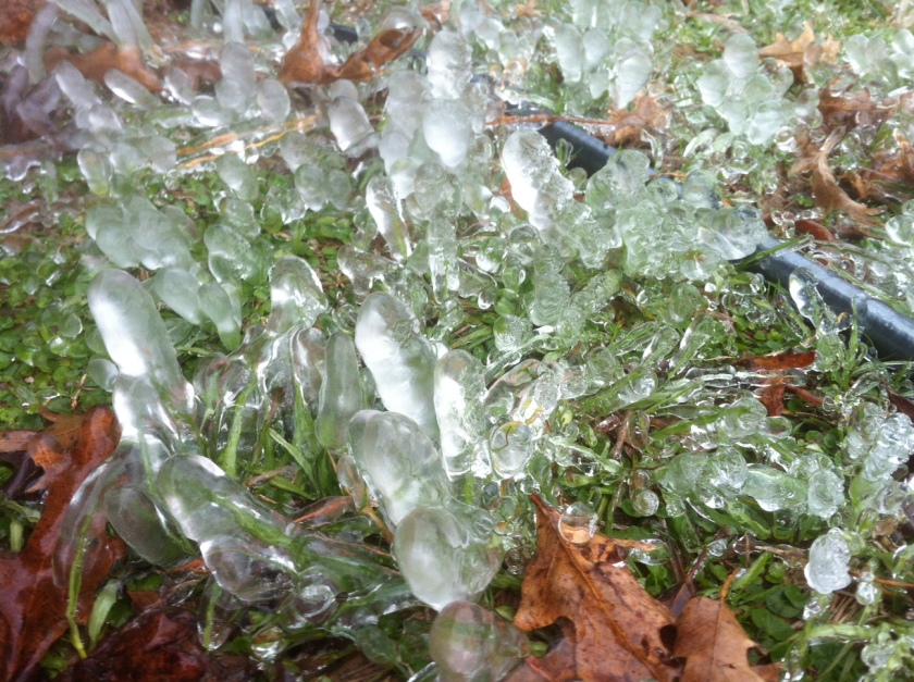 icicles2